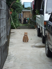 あのぉ・・・犬じゃないんですけど・・・。