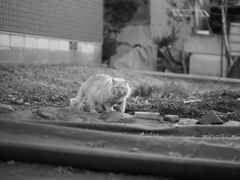 相変わらず警戒モード