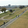 入間川河川敷