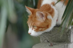 狙いを定めて