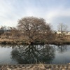 続・冬景色