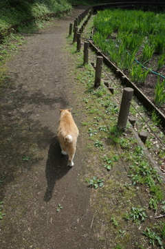 俺の後を追うんじゃないぜ！