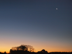 EARLY MORNING