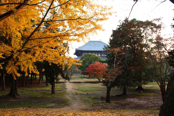 東大寺