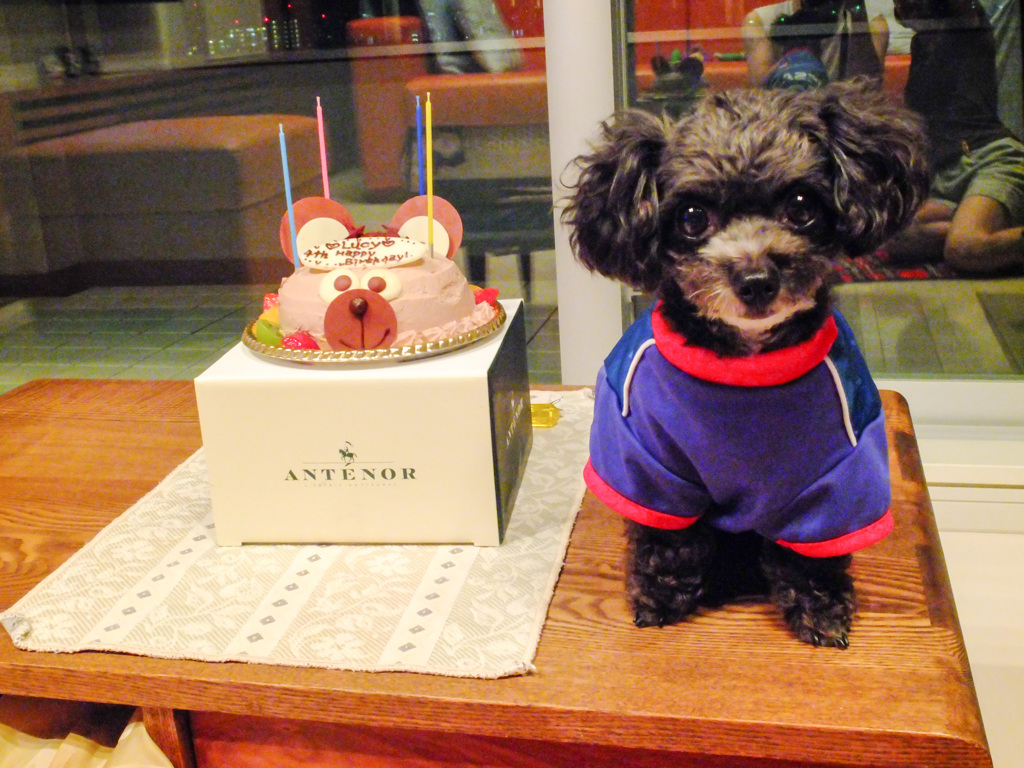 Birthday