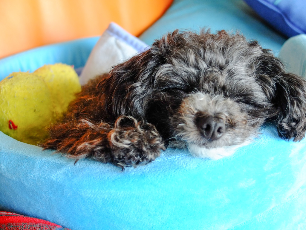 Sleepy...
