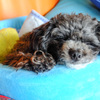 Sleepy...