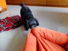 My bed