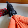 My bed