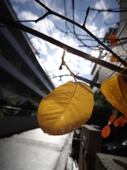 雨上がり