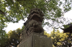 狛犬