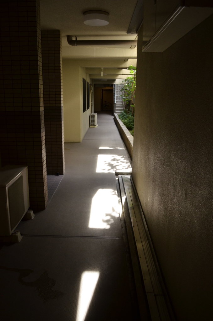 いつも通る通路