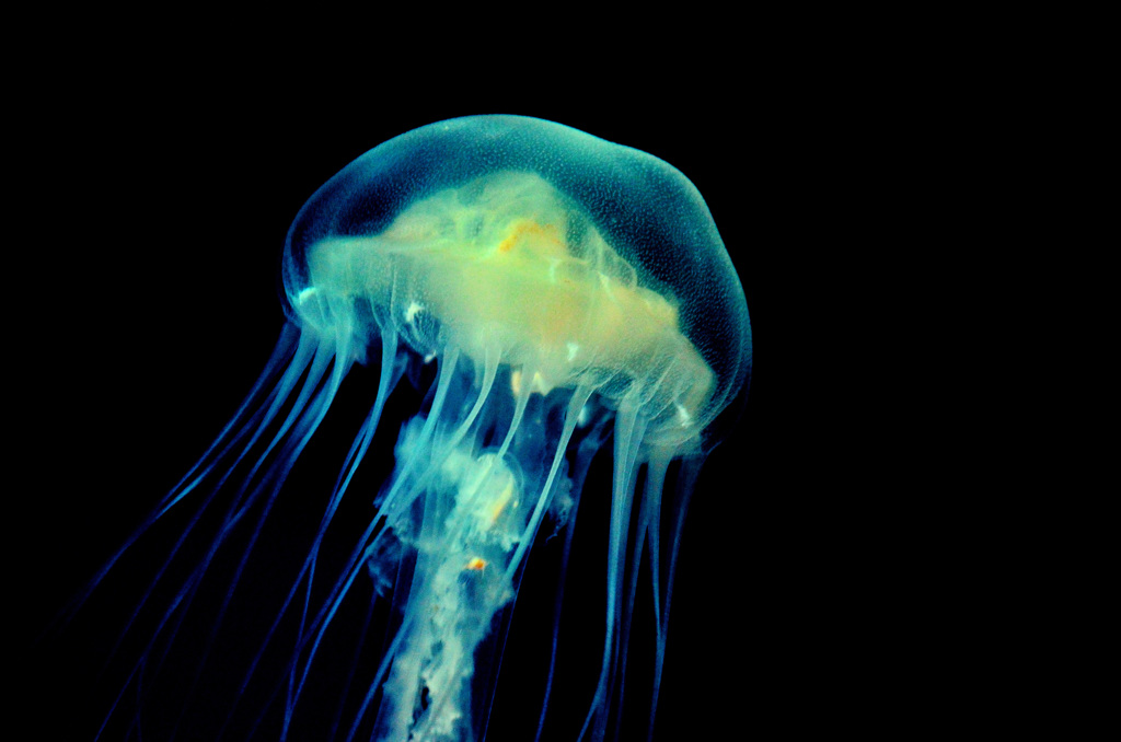 floating in the dark