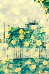 花と市役所