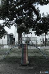 昼休みの公園