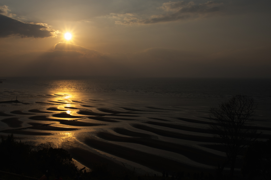 御輿来海岸3 16.3.14