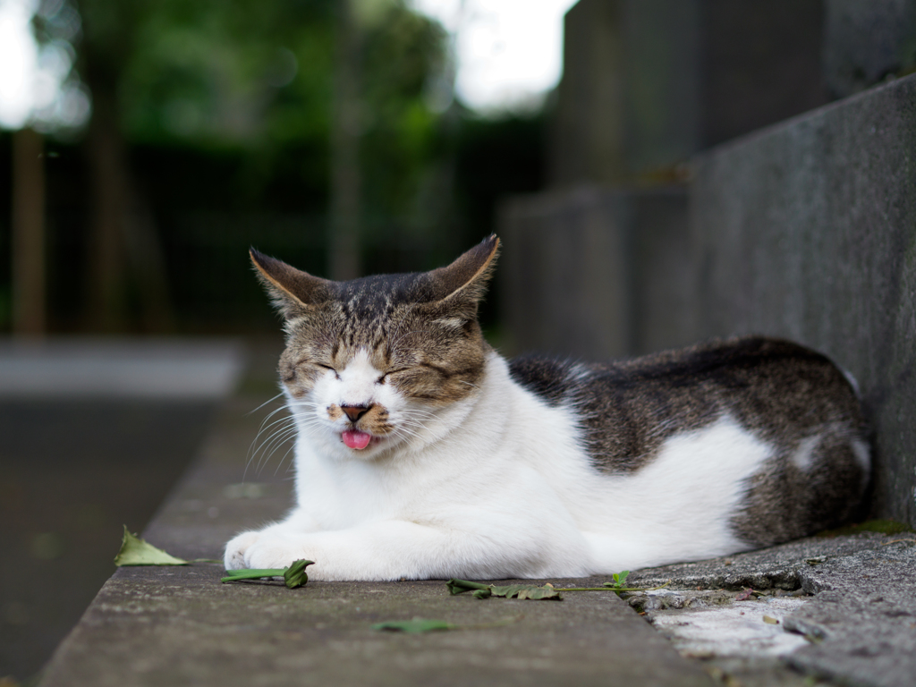 夏バテですか？