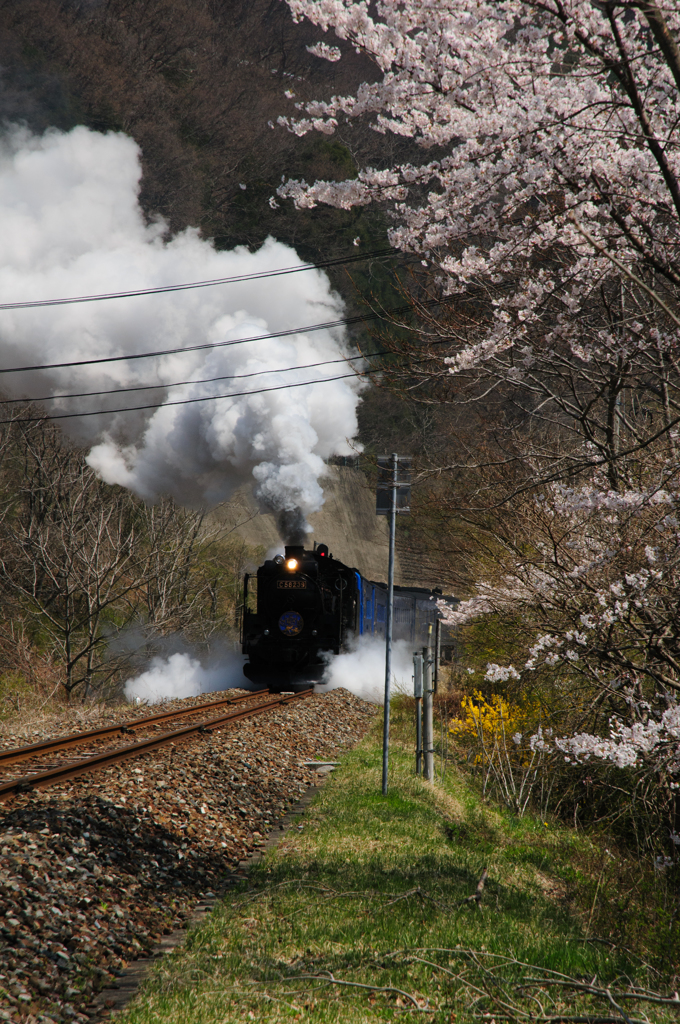 SL銀河　桜バージョン　その１