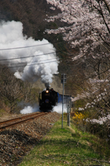 SL銀河　桜バージョン　その１