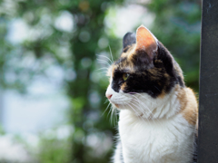 今日のユッケさん