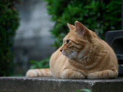 両手くいっ