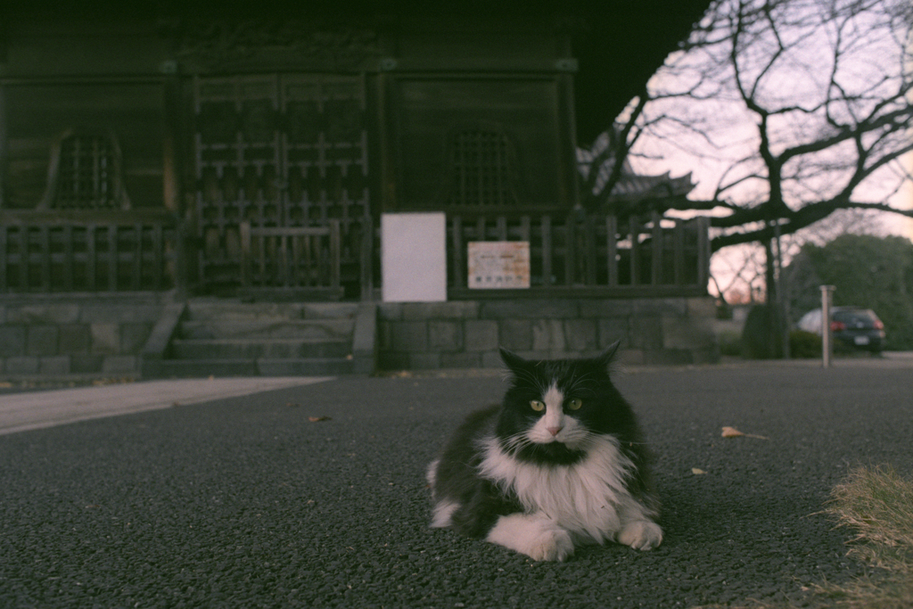 お堂の前でこっちむき