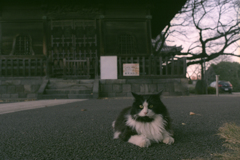 お堂の前でこっちむき