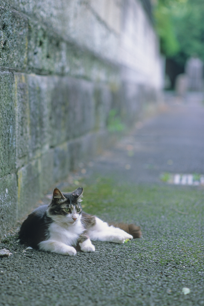 まったり