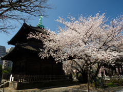 お寺