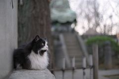 石段の前