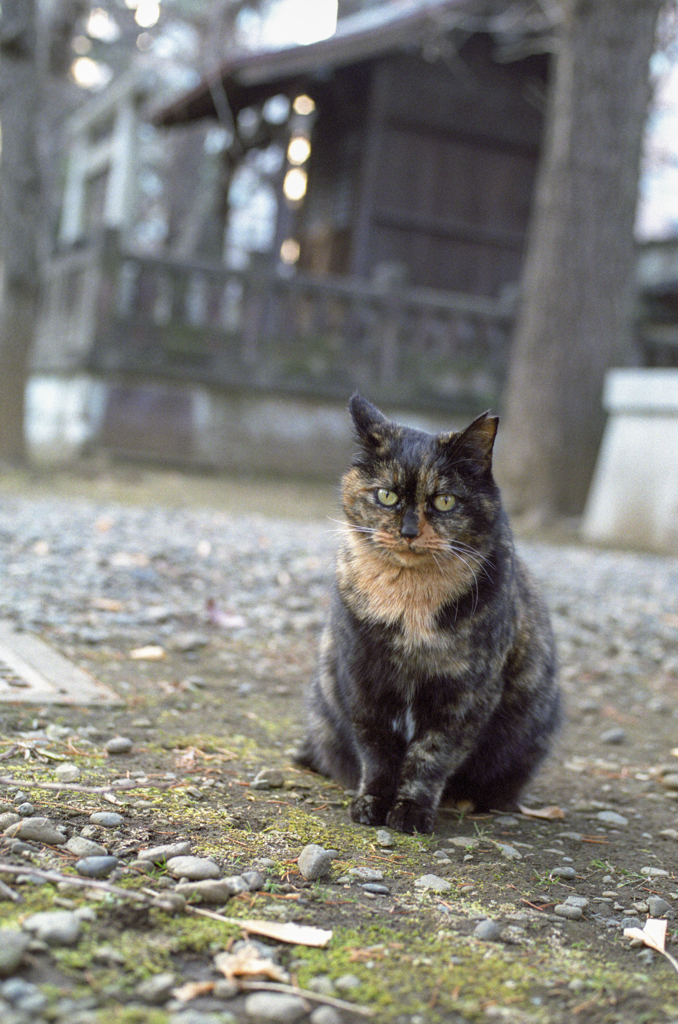 お堂の前