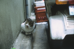 ぺっ