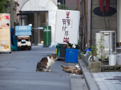 おすわりゴロン