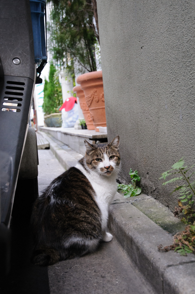 千代田区の方は
