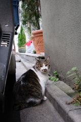 千代田区の方は