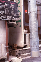 ジジイとババア