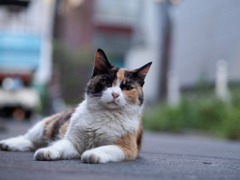 夕暮れ時 夕暮れ時