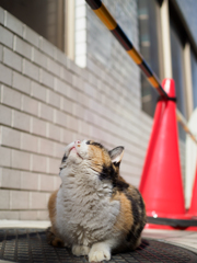 お口