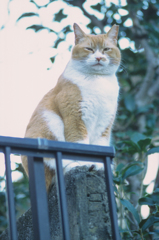 高いところから