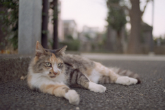 地べた