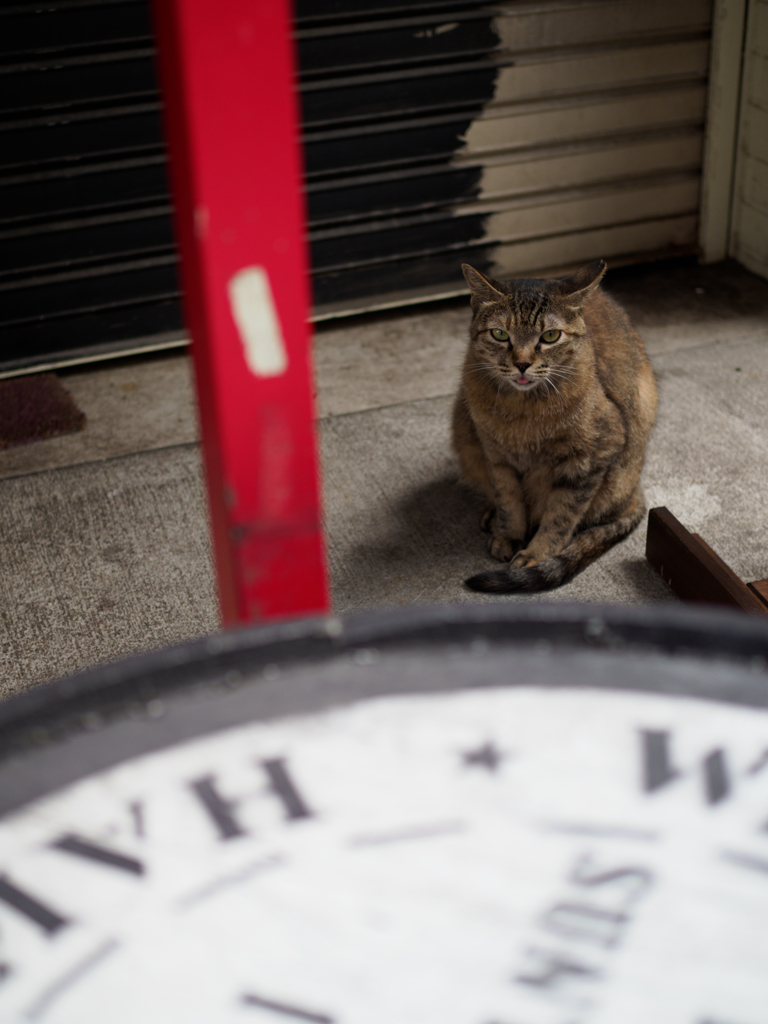 こっちも、おすわり。