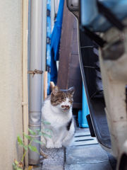 千代田区の連中２
