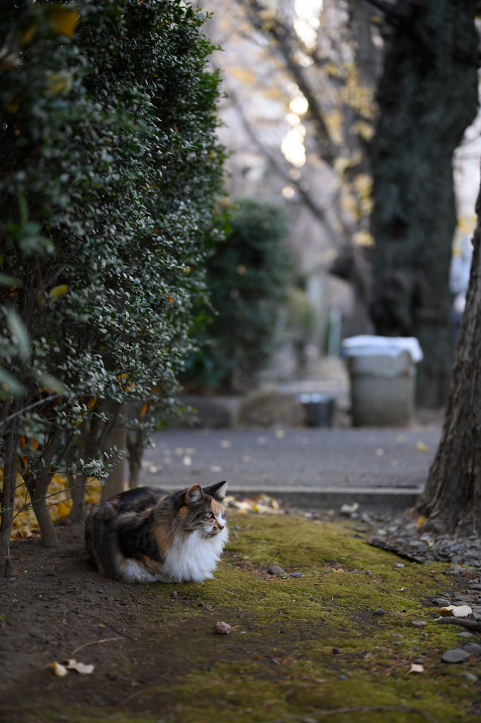 箱っぽい座り