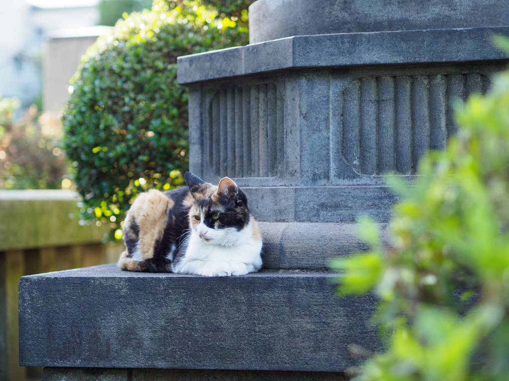 また、まったり