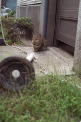 倒れたポールの後ろ