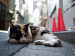 お休み