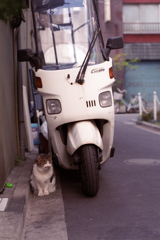 こちらも定位置