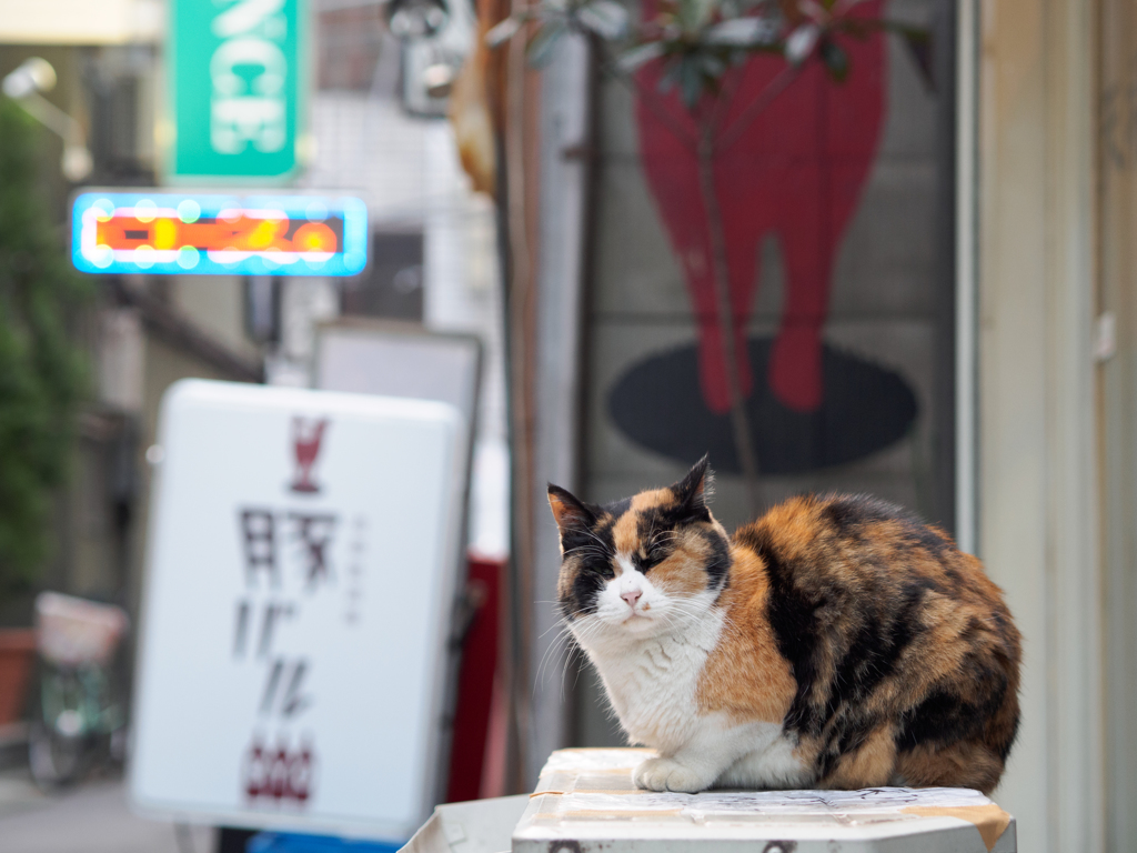 再び、なんですか？