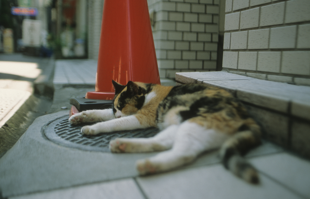 くたー