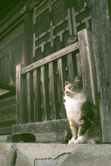 お堂でおすわり